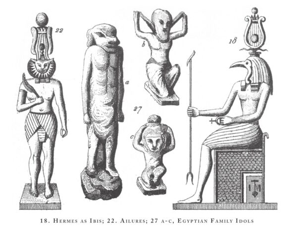 Light of Hermes